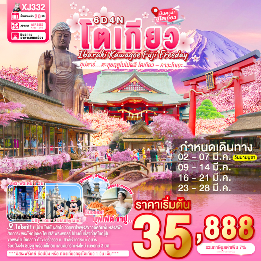 ทัวร์ญี่ปุ่น ซุปตาร์ ตะลุยฤดูใบไม้ผลิ โตเกียว–คาวะโกเอ 6วัน 4คืน (XJ)